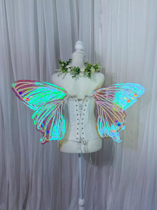 Ready to Ship Merry Moth Fairy Wings